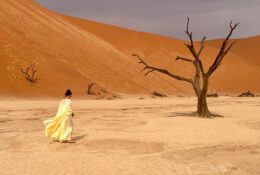 Namibia_August (84/135)